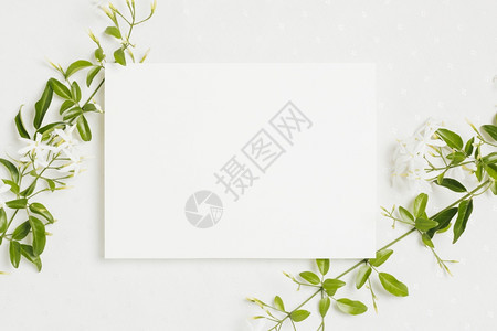 蔬菜婚礼白色背景的结婚卡花朵树枝彩礼卡印在白色背景上种子图片