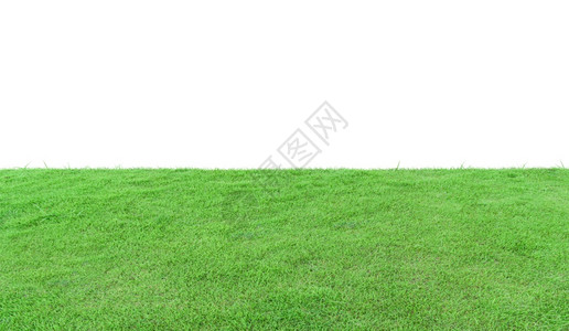 在白色背景上隔离的绿草地院子户外墙纸背景图片