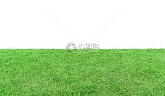 在白色背景上隔离的绿草地院子户外墙纸图片