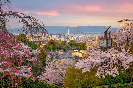 在日落的光季节在仓期间旧城京都关西樱花建筑学背景图片