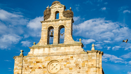 春天正面在西班牙萨莫拉卡斯蒂利亚和里昂的塔上出现了一座老罗马式教堂西班牙语图片