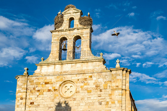 鹳在西班牙萨莫拉卡斯蒂利亚和里昂的塔上出现了一座老罗马式教堂会建造图片