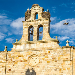 在西班牙萨莫拉卡斯蒂利亚和里昂的塔上出现了一座老罗马式教堂鸟欧洲历史的图片