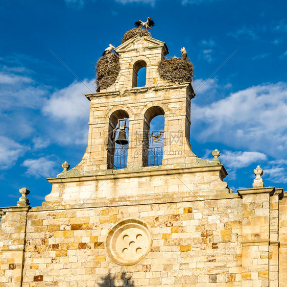 镇环境旅游的在西班牙萨莫拉卡斯蒂利亚和里昂的塔上出现了一座老罗马式教堂图片