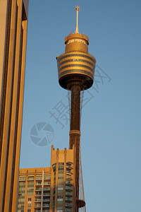 窗户地标市府悉尼AMP塔的AMP市内悉尼由办公大楼环绕工作图片