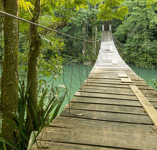 布兰科风景优美绿色位于伯利兹托莱多Blanco公园RioBlanco森林的河上吊桥图片