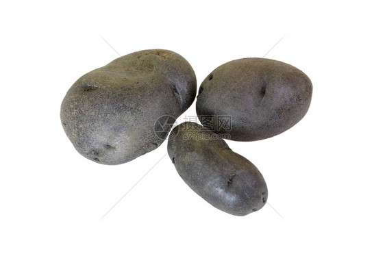 生动球根状马铃薯是一种新的土豆品在皮肤和肉身中呈现深紫色红番薯极乐图片