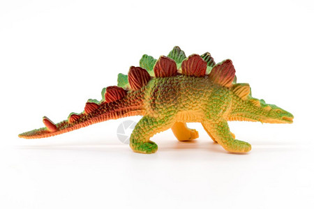 白色背景上的龙玩具模型力量爬虫兽图片