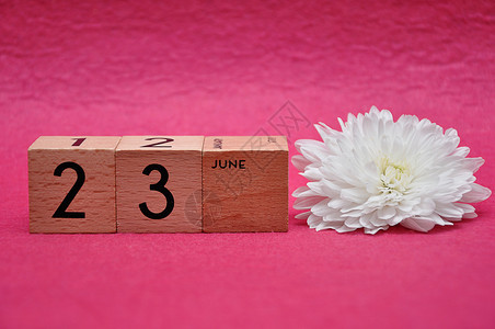 绽放白色的天6月23日在木制块上粉红背景的白箭头图片