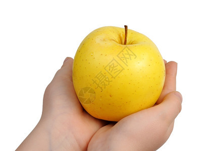 手心里的黄色苹果图片