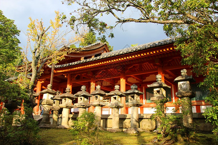 日本明亮红木寺一带的水泥灯笼线日本神道木制的旅行图片