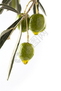 橄榄和油在白底以及复写空间上绝缘美食成熟开胃菜图片