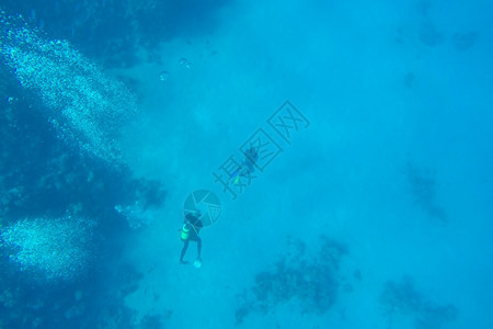 水族馆埃及荒野红海珊瑚礁有硬鱼类和阳光明媚的天空通过清洁水照光下照片图片