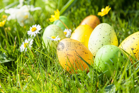 传统的阳光季节藏在鲜花和草地中的彩色复活节鸡蛋图片