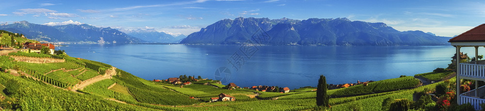 拉沃葡萄园梯田风景山湖拉沃地区白天全景瑞士沃州拉地区全景瑞士沃州背景