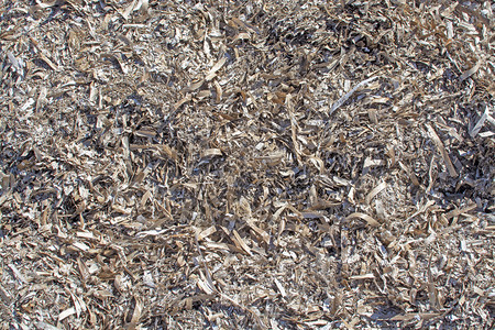 冬天季海滩上的死草表面纹理特写背景死海草表面纹理特写背景垃圾摇滚植物图片