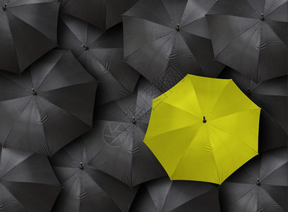人群拥有许多黑和黄色伞式的领导能力概念目的天气图片