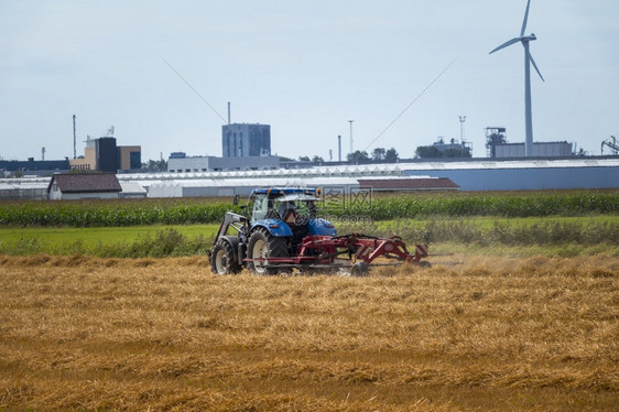 食物耕作MaassluisHolland19aug20Farmer关于拖拉机在Maassluis农场切干草的拖拉机该村位于荷兰以图片