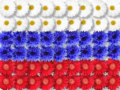 赫贝拉旗帜夏天花的抽象背景作为俄罗斯特写工作室摄影图片