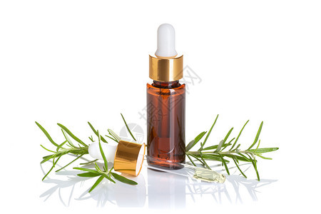 关心用于皮肤护理SPA健康按摩芳香疗法和自然医学的罗斯玛丽白底迷迭香油中孤立的罗斯玛丽基本油草植物图片