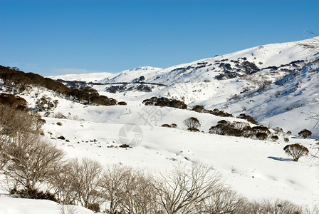 澳大利亚新南威尔士Kosciuszko公园的Guthega滑雪胜地附近的一个冬季景象种如画蓝色的图片