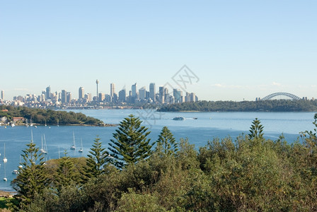 一种明尼斯摩天大楼沃森湾和悉尼的遥远摩天大厦景象生物多样公约图片