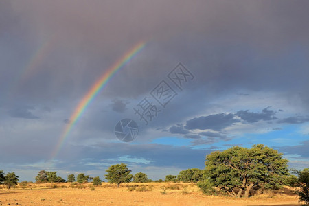 季节南非卡拉哈里沙漠的暴风天空中彩虹多的风景观天气一种图片