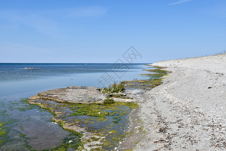 景观在奥兰德岛的瑞典NeptuniAkrr号自然保护区海岸线王星夏天图片