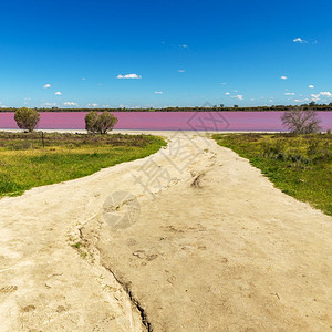 夏天沿着云粉红湖是澳洲维多利亚西部高速公路上流行的盐湖在Victoria图片