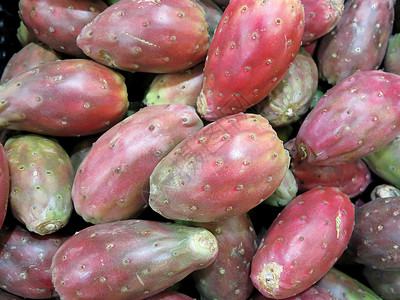 红刺梨美味的热带水果多刺目小吃图片素材