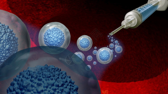 核治愈系统作为多细胞胚胎概念或成人有机体的Stem细胞治疗和生物学作为3D插图细胞疗法的象征物图片