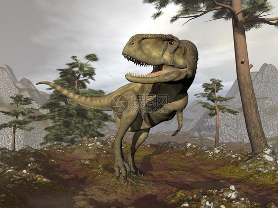 艾比龙恐在山中行走松树之间云端的一天3D变成艾比龙恐3D古艺术景观白垩纪图片
