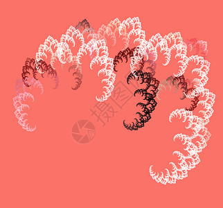 抽象的现代混乱分形植物在背景色粉红珊瑚上形成白和酒红调分形抽象植物在背景色粉红珊瑚上形成白和酒红调图片
