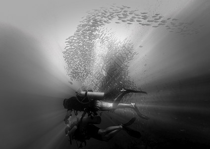 梦墙纸在光线和鱼群中潜水的Scuba潜水员发现图片