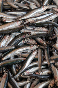 海产食品市场上的冰鱼新鲜凤尾健康的生活概念饮食购物团体桩图片