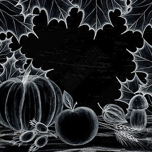 菲萨利斯落下秋天快乐和收获手绘用粉笔在黑板上画树的叶子是枫橡木南瓜苹果蘑菇狗玫瑰fizalis橡子小麦文本的地方快乐秋天和收获假图片
