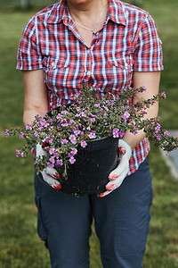 一种坦率持有花盆和朵在后院园工作的妇女Candid人真实时刻情况Candid人真实的图片