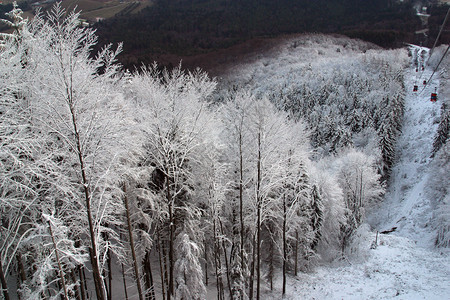 冬季雪景风光图片