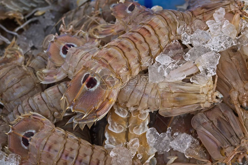 海厨房纳达林在当地市场上出售的长蚁虾图片