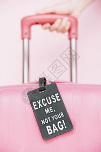 商业手持提式旅行李箱背着粉红色景的袋标签旅游案子图片