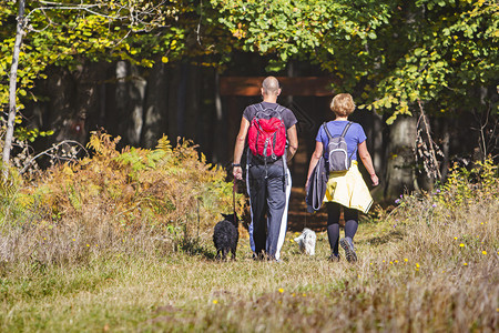 可爱的年轻夫妇带着宠物狗在森林里徒步旅行夏天闲暇图片