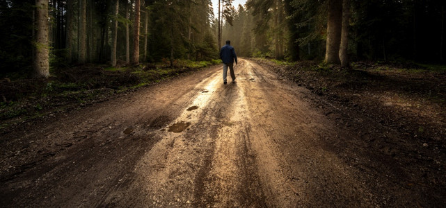 在森林中走迷雾道路上的孤单男人Silhouette植物孤独冒险图片