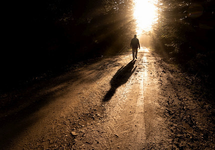 薄雾在森林中走迷雾道路上的孤单男人Silhouette抽象的夏天图片