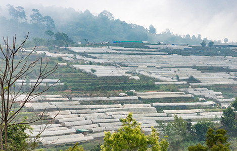 公园山上带有白帆圆顶的植花种园亚洲人风景图片