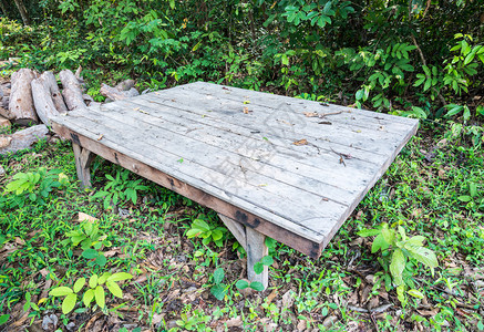 泰家自然花园中的大木板桌泰国树春天图片