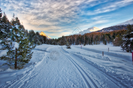 冬季雪景风光图片