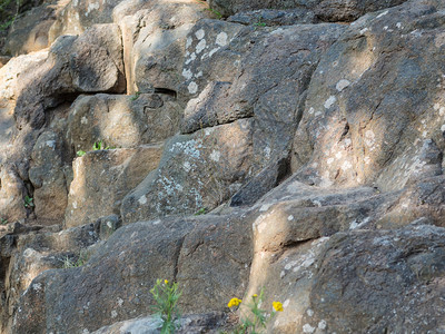 结石植物长满白苔花的岩石景观背景图片