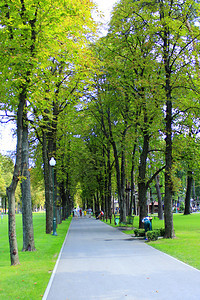 风景绿色在市公园休息的人与大树在城市公园休息夫妇假期暑家庭度旅行概念人们在公园休息有大树在公园休息家庭放松树木图片