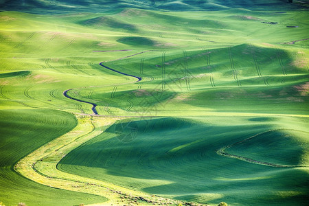 巴特颜色在华盛顿东部Palouse地区滚动山丘的小麦田中游荡溪流床边景象SteptoeButte的观点突出显示了土地的轮廓风景优图片
