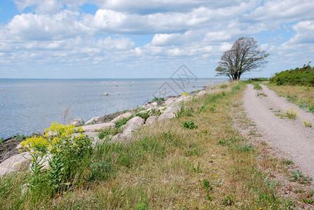 污垢水景观波罗的海西ishswedish岛奥兰沿海岸线的乡村公路波罗的海奥兰图片